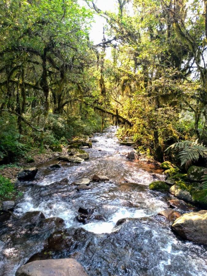 Chales Estancia Cachoeira Do Avencal 우루비시 외부 사진
