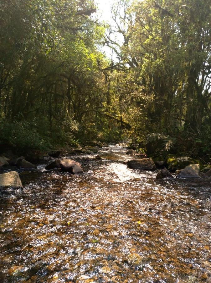 Chales Estancia Cachoeira Do Avencal 우루비시 외부 사진